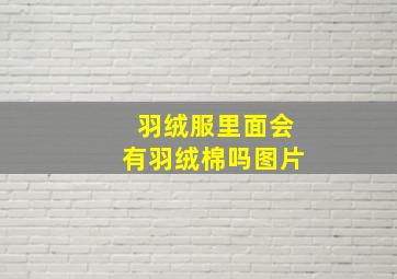 羽绒服里面会有羽绒棉吗图片