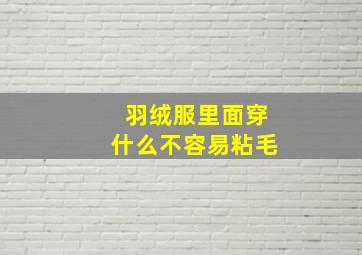 羽绒服里面穿什么不容易粘毛