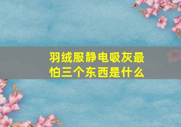 羽绒服静电吸灰最怕三个东西是什么