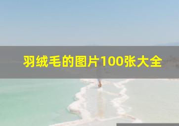 羽绒毛的图片100张大全