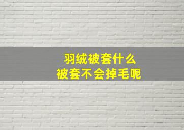 羽绒被套什么被套不会掉毛呢