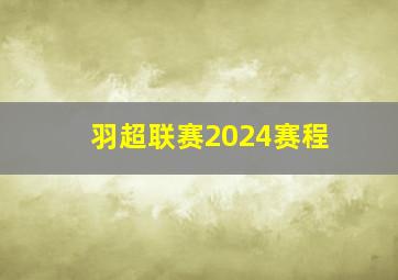 羽超联赛2024赛程