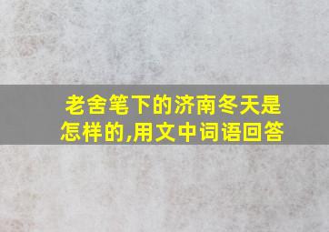 老舍笔下的济南冬天是怎样的,用文中词语回答