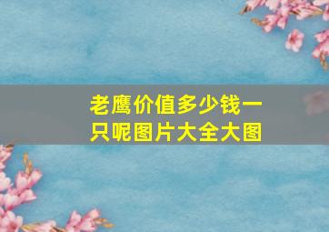 老鹰价值多少钱一只呢图片大全大图