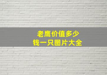 老鹰价值多少钱一只图片大全