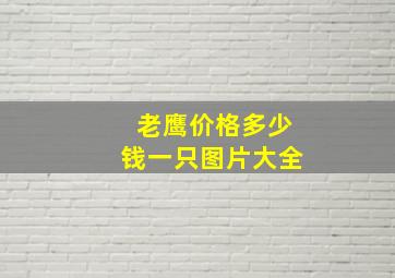 老鹰价格多少钱一只图片大全