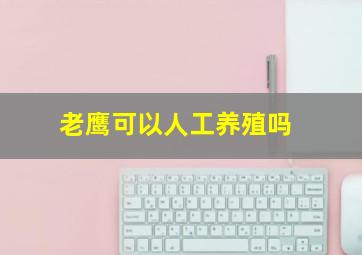 老鹰可以人工养殖吗