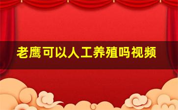 老鹰可以人工养殖吗视频