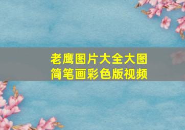 老鹰图片大全大图简笔画彩色版视频