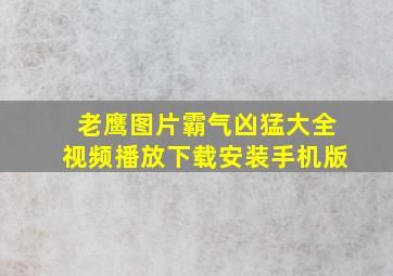 老鹰图片霸气凶猛大全视频播放下载安装手机版