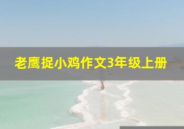 老鹰捉小鸡作文3年级上册