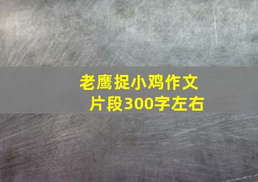 老鹰捉小鸡作文片段300字左右