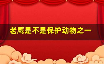 老鹰是不是保护动物之一