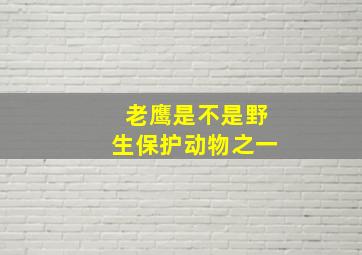 老鹰是不是野生保护动物之一