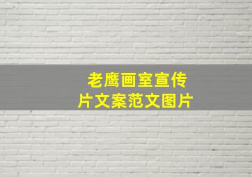 老鹰画室宣传片文案范文图片