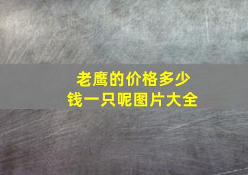 老鹰的价格多少钱一只呢图片大全