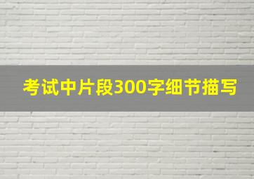 考试中片段300字细节描写