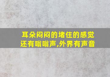 耳朵闷闷的堵住的感觉还有嗡嗡声,外界有声音