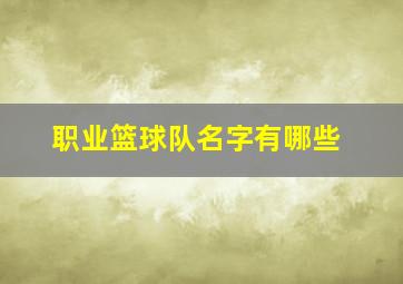 职业篮球队名字有哪些