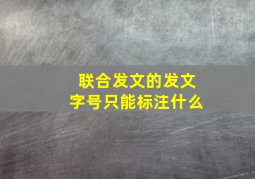 联合发文的发文字号只能标注什么