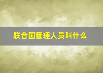 联合国管理人员叫什么