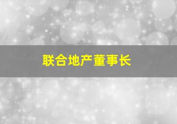 联合地产董事长