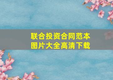 联合投资合同范本图片大全高清下载