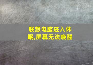 联想电脑进入休眠,屏幕无法唤醒