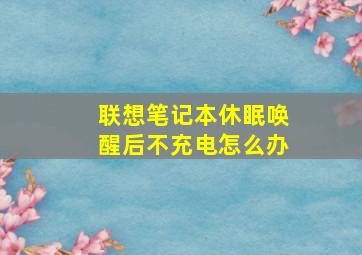 联想笔记本休眠唤醒后不充电怎么办