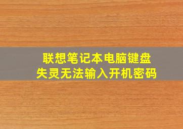 联想笔记本电脑键盘失灵无法输入开机密码