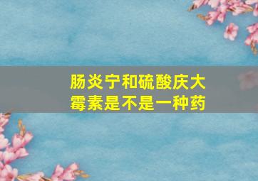 肠炎宁和硫酸庆大霉素是不是一种药