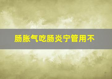 肠胀气吃肠炎宁管用不