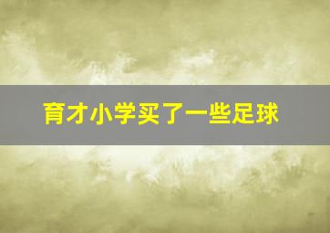 育才小学买了一些足球