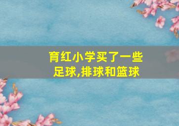 育红小学买了一些足球,排球和篮球