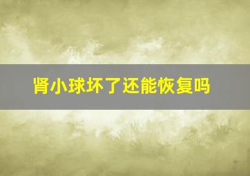 肾小球坏了还能恢复吗