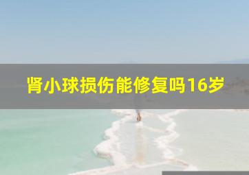 肾小球损伤能修复吗16岁