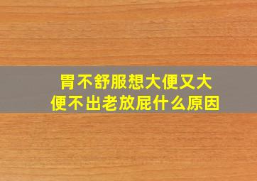 胃不舒服想大便又大便不出老放屁什么原因