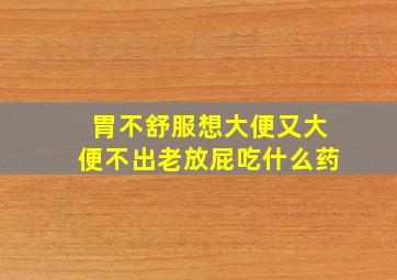 胃不舒服想大便又大便不出老放屁吃什么药