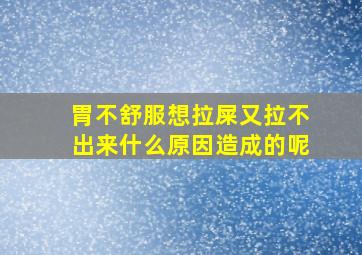 胃不舒服想拉屎又拉不出来什么原因造成的呢