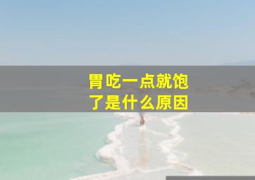 胃吃一点就饱了是什么原因