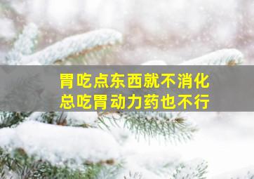 胃吃点东西就不消化总吃胃动力药也不行