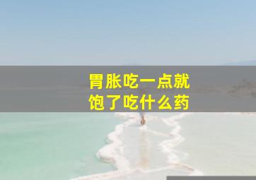 胃胀吃一点就饱了吃什么药