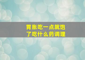 胃胀吃一点就饱了吃什么药调理