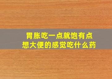 胃胀吃一点就饱有点想大便的感觉吃什么药