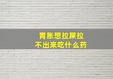 胃胀想拉屎拉不出来吃什么药