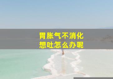 胃胀气不消化想吐怎么办呢