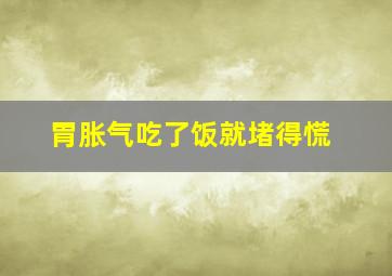 胃胀气吃了饭就堵得慌