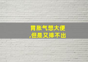 胃胀气想大便,但是又排不出