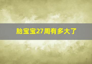 胎宝宝27周有多大了