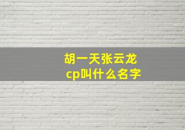 胡一天张云龙cp叫什么名字